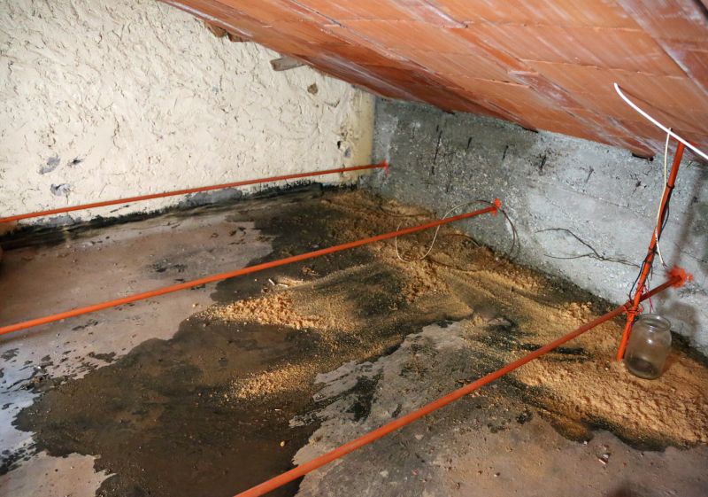 Water Damage Ceiling Repair in Alpharetta, GA
